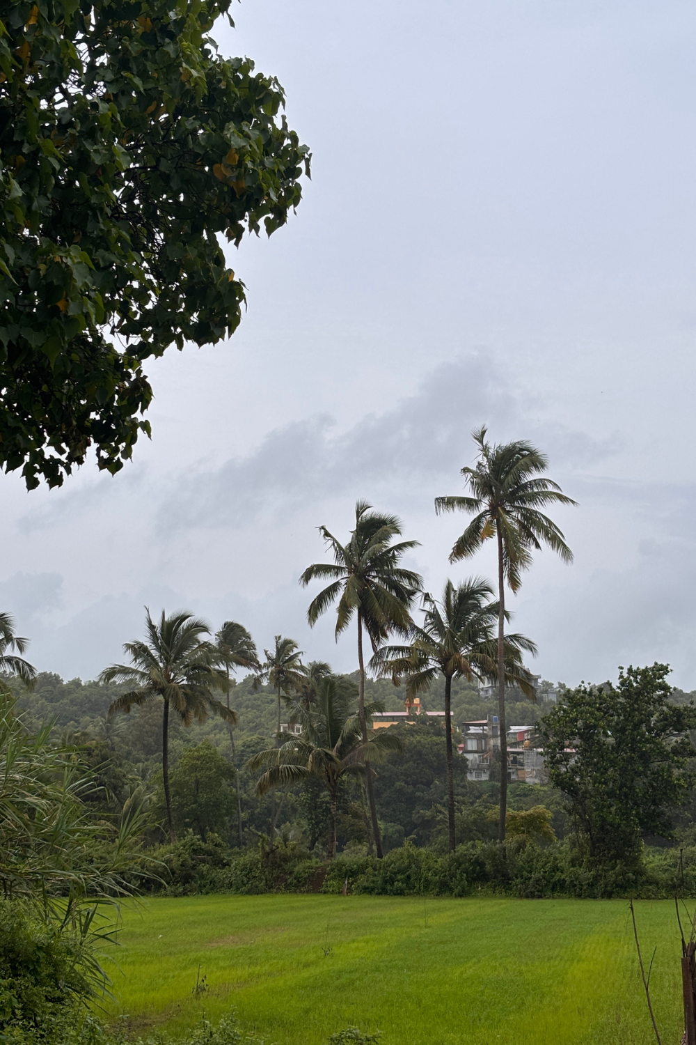 goa_in_monsoon